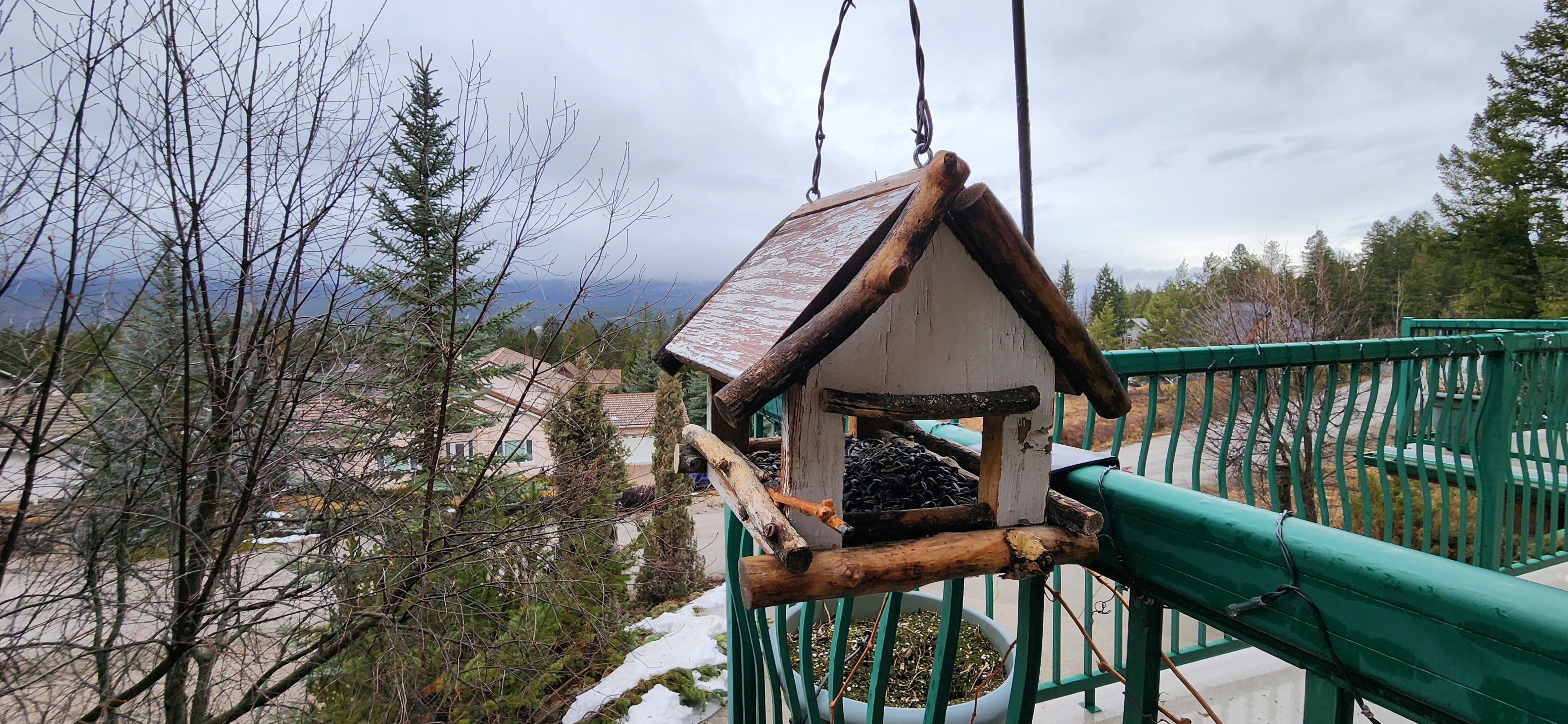 Tips for Hanging Bird Feeders
