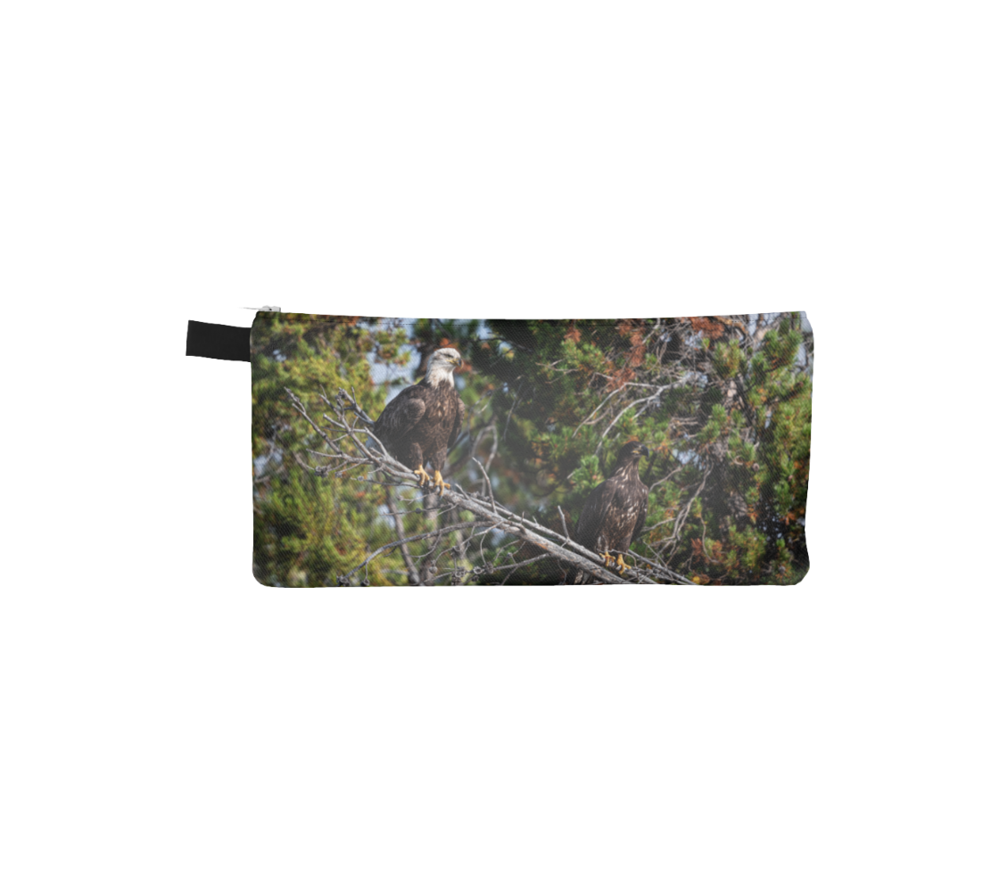 This image is of a photo of 2 bald eagles perched on a grey fallen tree branch. One is a juvenile with a dark brown head while the other has a white head. The background is of trees and branches in various tones of green, gold, purple and grey.