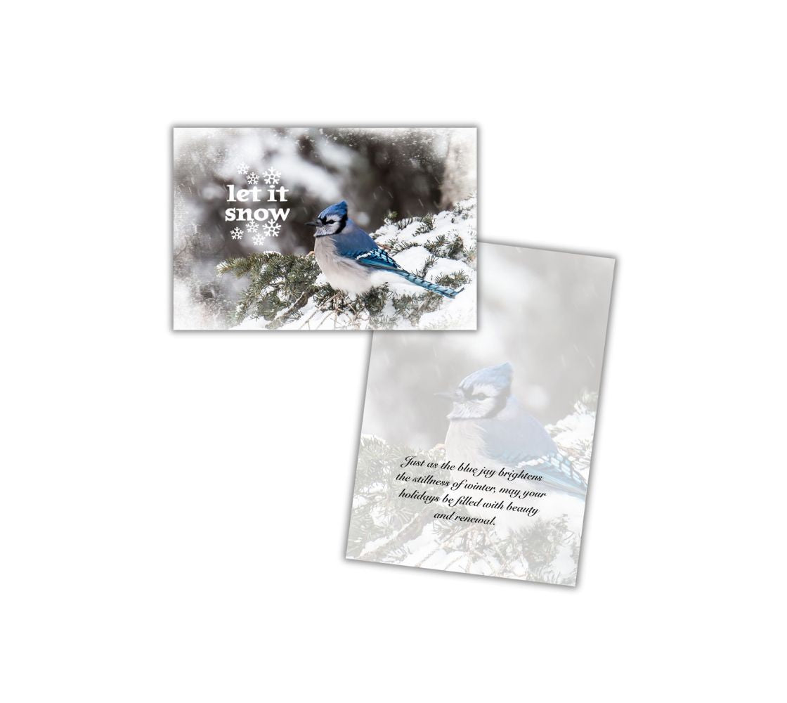 A Christmas card of a blue jay on a snowy branch and text 'let it snow' and an opened card with a repeated faint image of the front image with text.