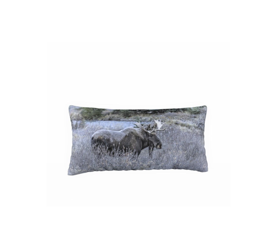 This is an image of a 12 x 24 inch plush velveteen cushion cover features a photo of a bull moose covered in frost. This image shows a big dark brown bull moose standing in the frosty grey willows surrounded by evergreen trees. He is covered with a blanket of white frost on his back, shoulders and head.