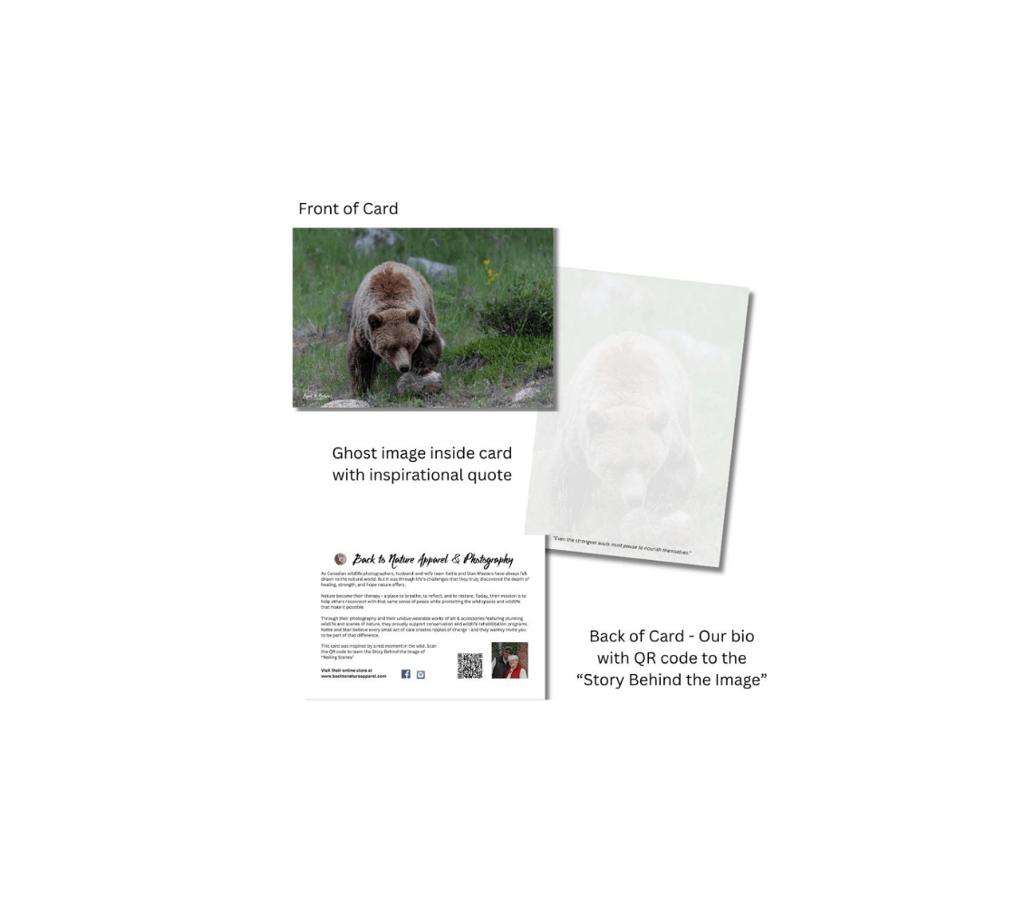 Grizzly bear on the front with ghost image of a bear on the inside from our real wildlife photography.