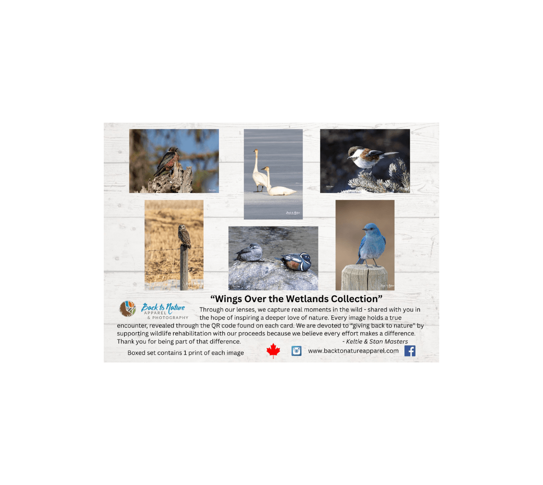 Index greeting card of birds from our real wildlife photography.