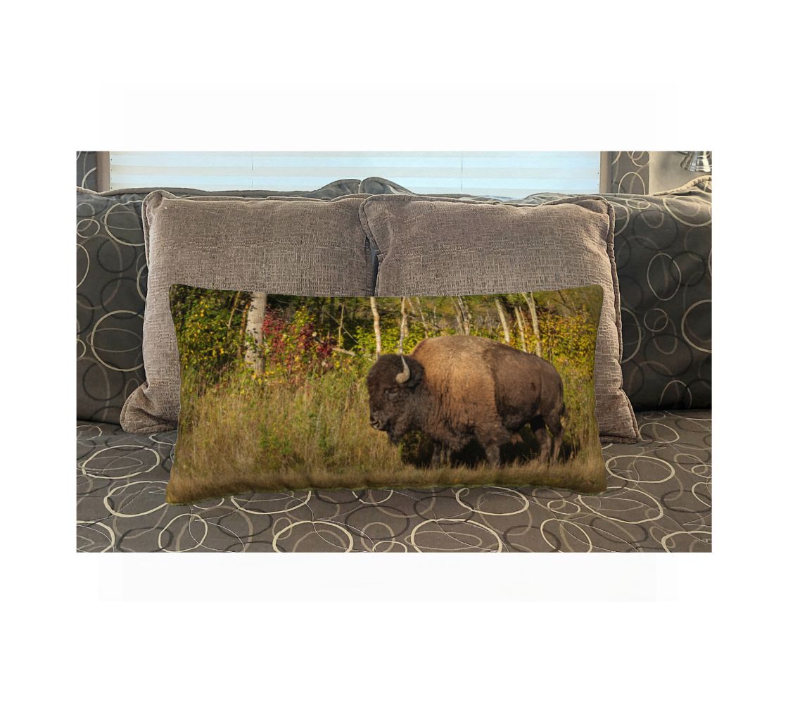 This 12 x 24 inch plush velveteen cushion cover is a photo of a side profile of a dark brown bull plains bison standing in the autumn colors. The background is bushes and grass in green, red, light brown and yellow, with grey poplar trees. This image is of the cushion cover on a pillow form on a bed.