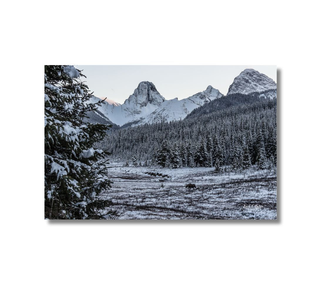 This is a 16 x 24 landscape canvas print. This is a photo of a mountain scene. The early morning light makes every thing look black and white.