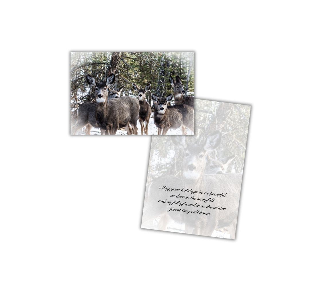 A Christmas card of mule deer in a snow-covered forest looking at you in curiosity and an opened card with a repeated faint image of the front image with text.