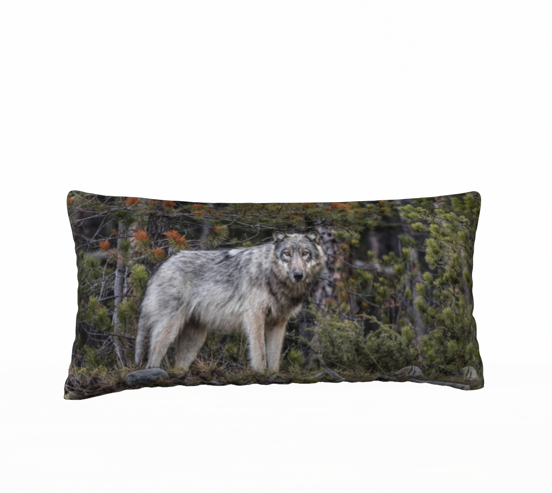 "First Enconter" 12" x 24" Long Cushion Cover Grey Wolf