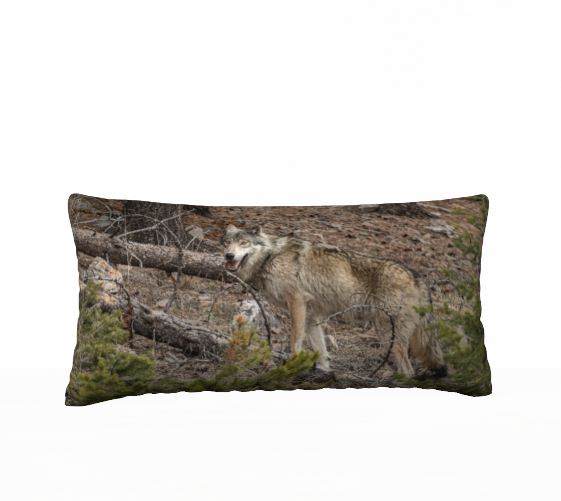 "After the Chase" 12" x 24" Long Cushion Cover Wolf
