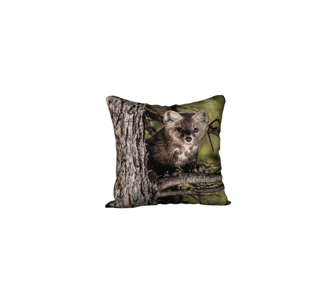 This 18 x 18 inch plush velveteen cushion cover features a photo of a dark brown pine marten on a light brown tree branch looking at you. The cushion cover background is mottled green and black.