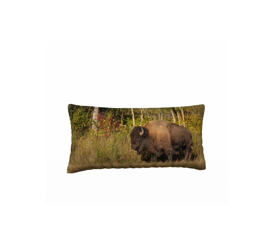 A plains bull bison decorative long throw pillow cover from our wildlife photography.