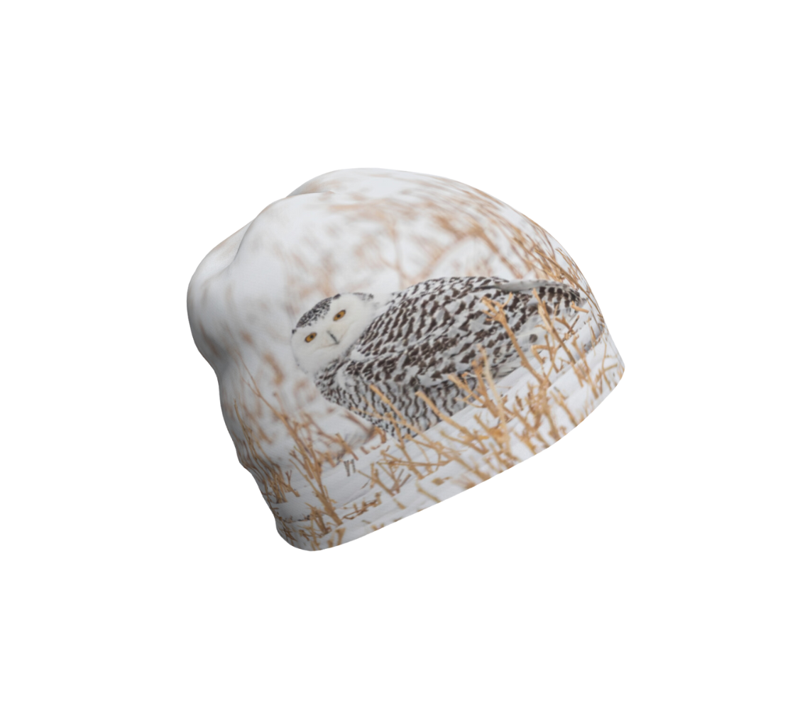 This is a photograph of a snowy owl on a beanie. Image is of a snowy owl looking at you. It is on the ground in a white snow covered field surrounded by gold colored field stubble sticking up out of the ground.
