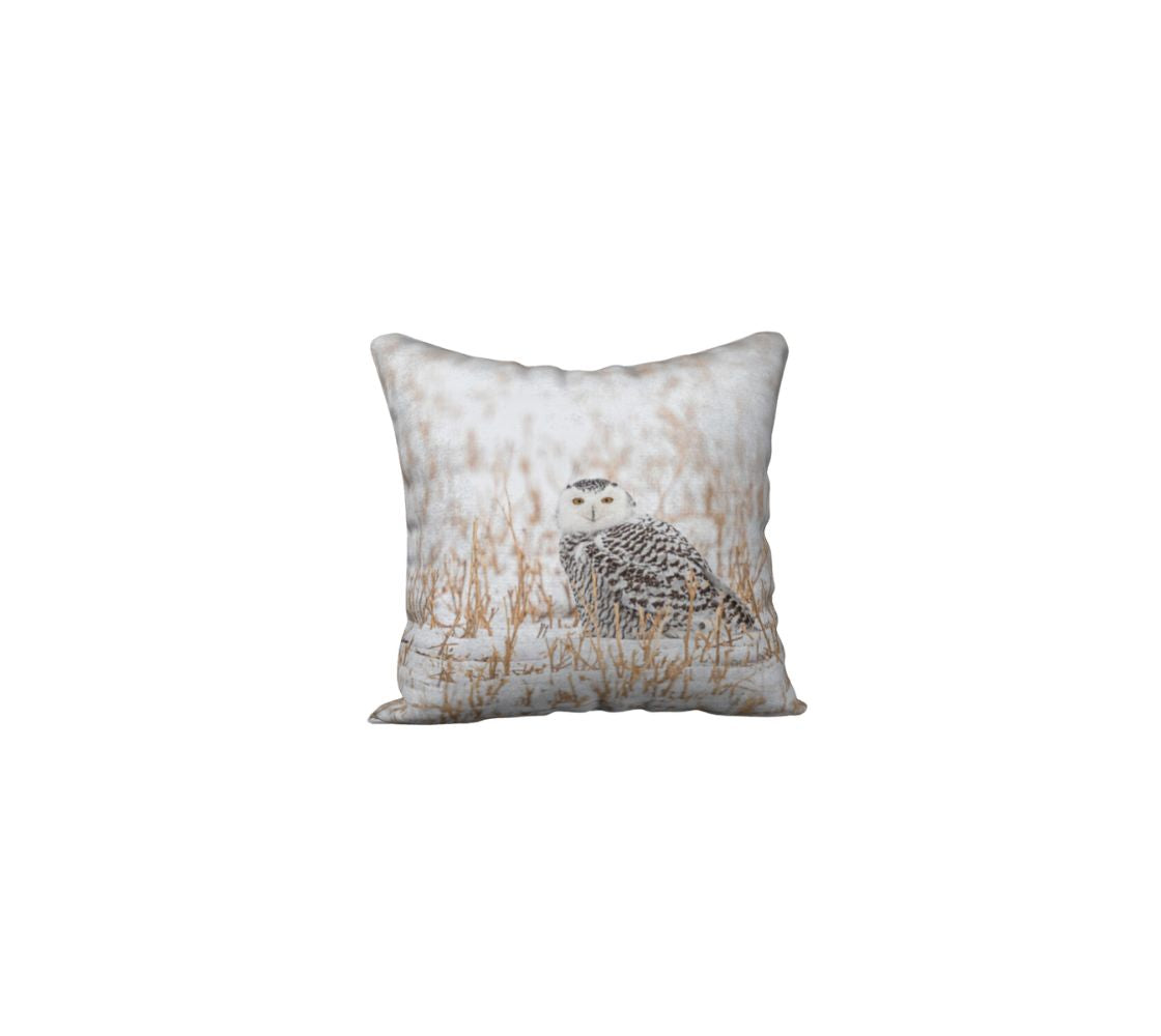 A 18 x 18 inch plush velveteen cushion cover features a photo of a snowy owl. The image is of a snowy owl looking at you. It is on the ground in a white snow covered field surrounded by gold colored field stubble sticking up out of the ground.