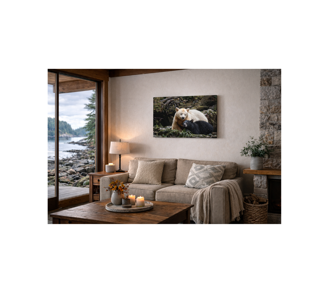 A living room with a canvas print of a spirit bear and her black cub from our wildlife photography hanging on a wall.