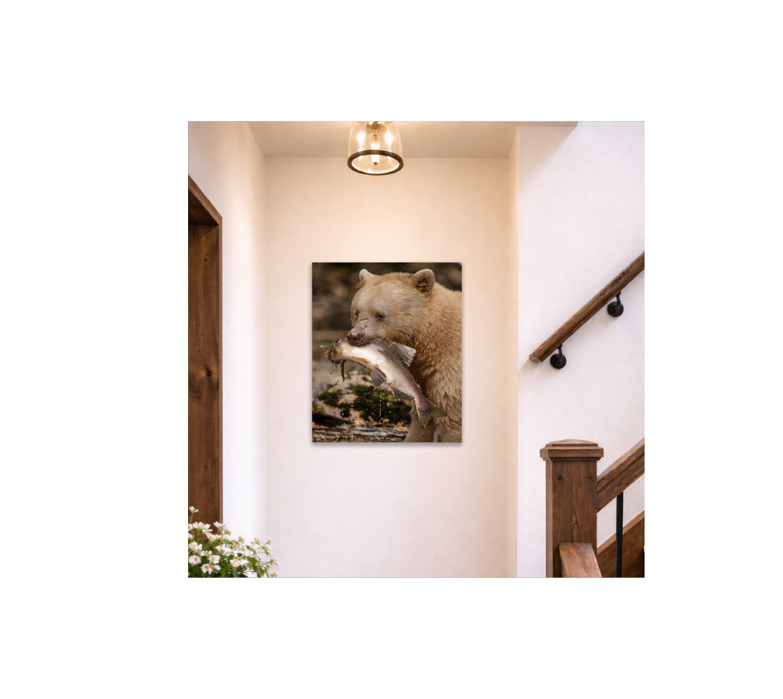 Stairwell with a portrait metal print of our photograph featuring sprit bear with a salmon in it's mouth hanging on the wall.