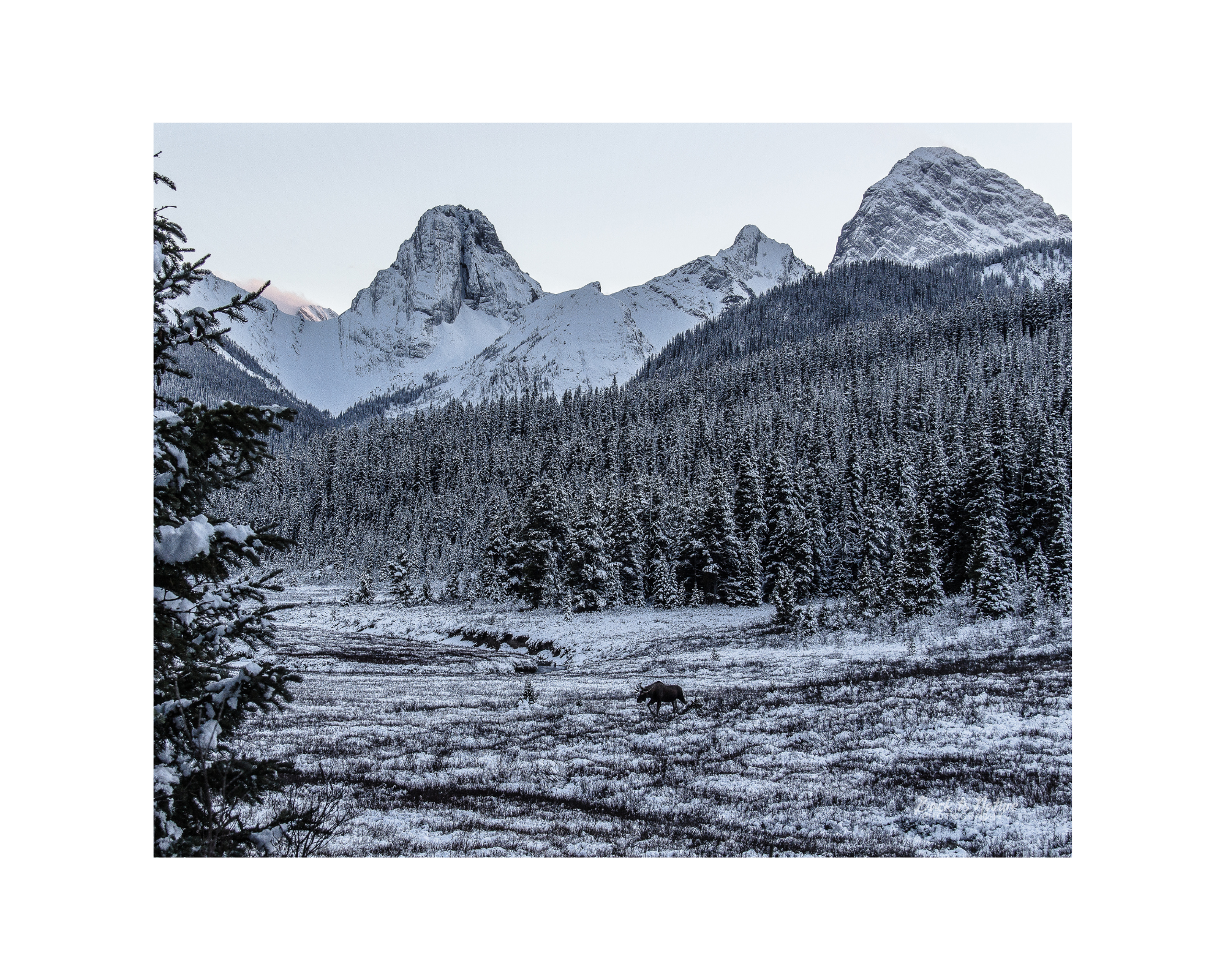 "The Storm has Passed" 10" x 8" Matted Print