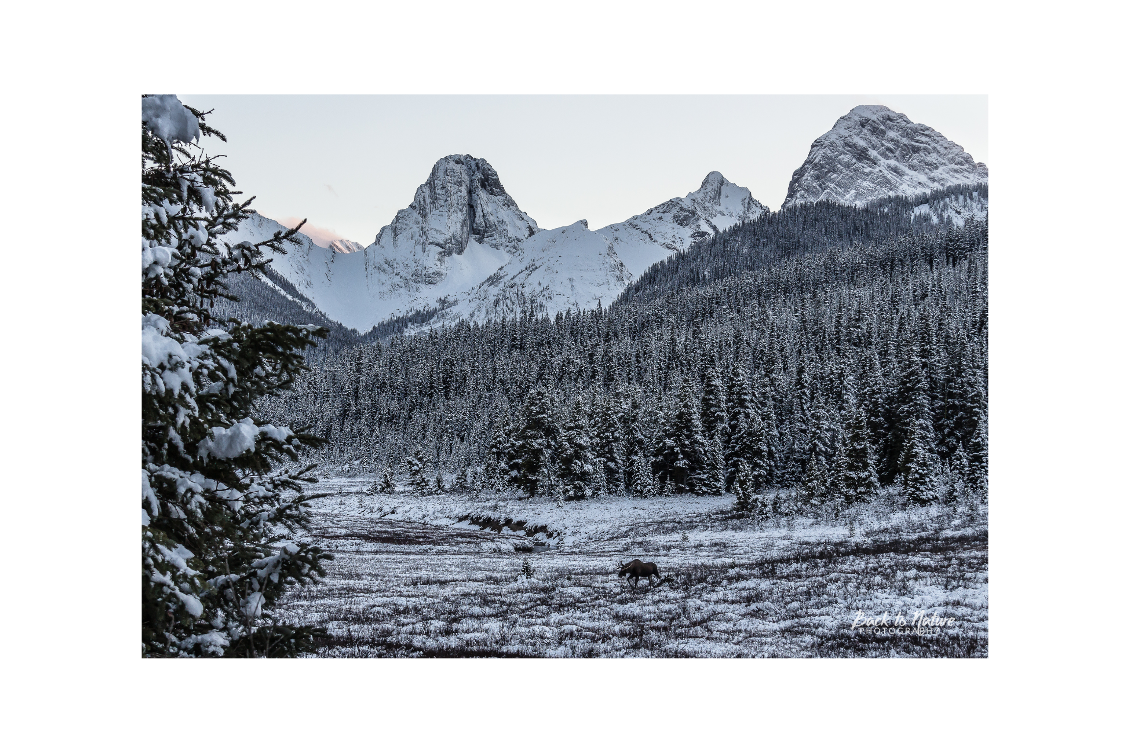 "The Storm has Passed" Mountains Scene Canvas Print