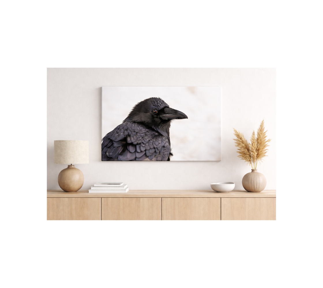 Raven Canvas Print - Mystical And Mythological Wall Art