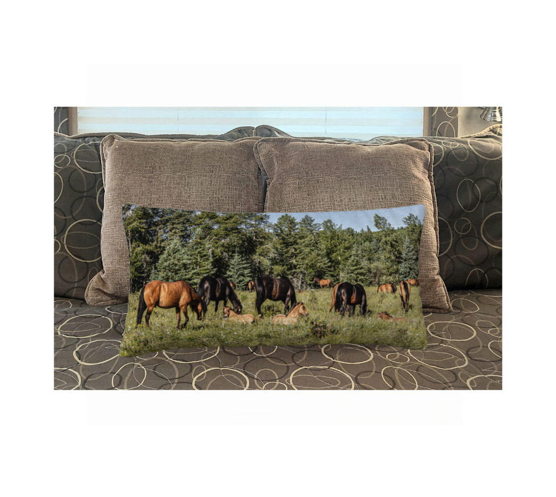 This 12 x 24 inch plush velveteen cushion cover features a photo of tan colored wild foals lying in white wildflowers and green grass. There is a herd of brown and black wild horses grazing in a green field surrounded by green trees with a clear blue sky. This image is of the cushion cover on a pillow form on a bed.