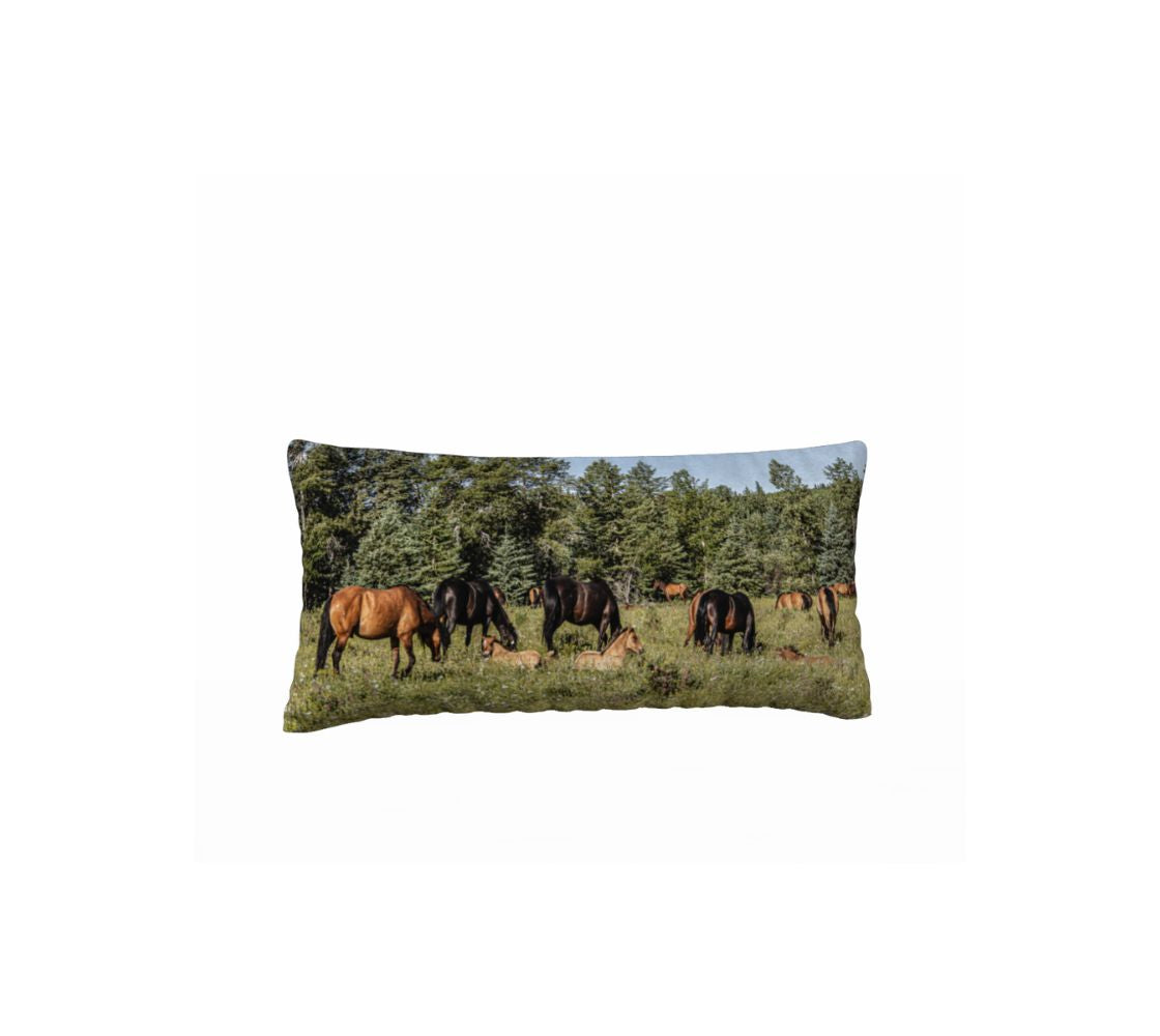 This 12 x 24 inch plush velveteen cushion cover features a photo of tan colored wild foals lying in white wildflowers and green grass. There is a herd of brown and black wild horses grazing in a green field surrounded by green trees with a clear blue sky.
