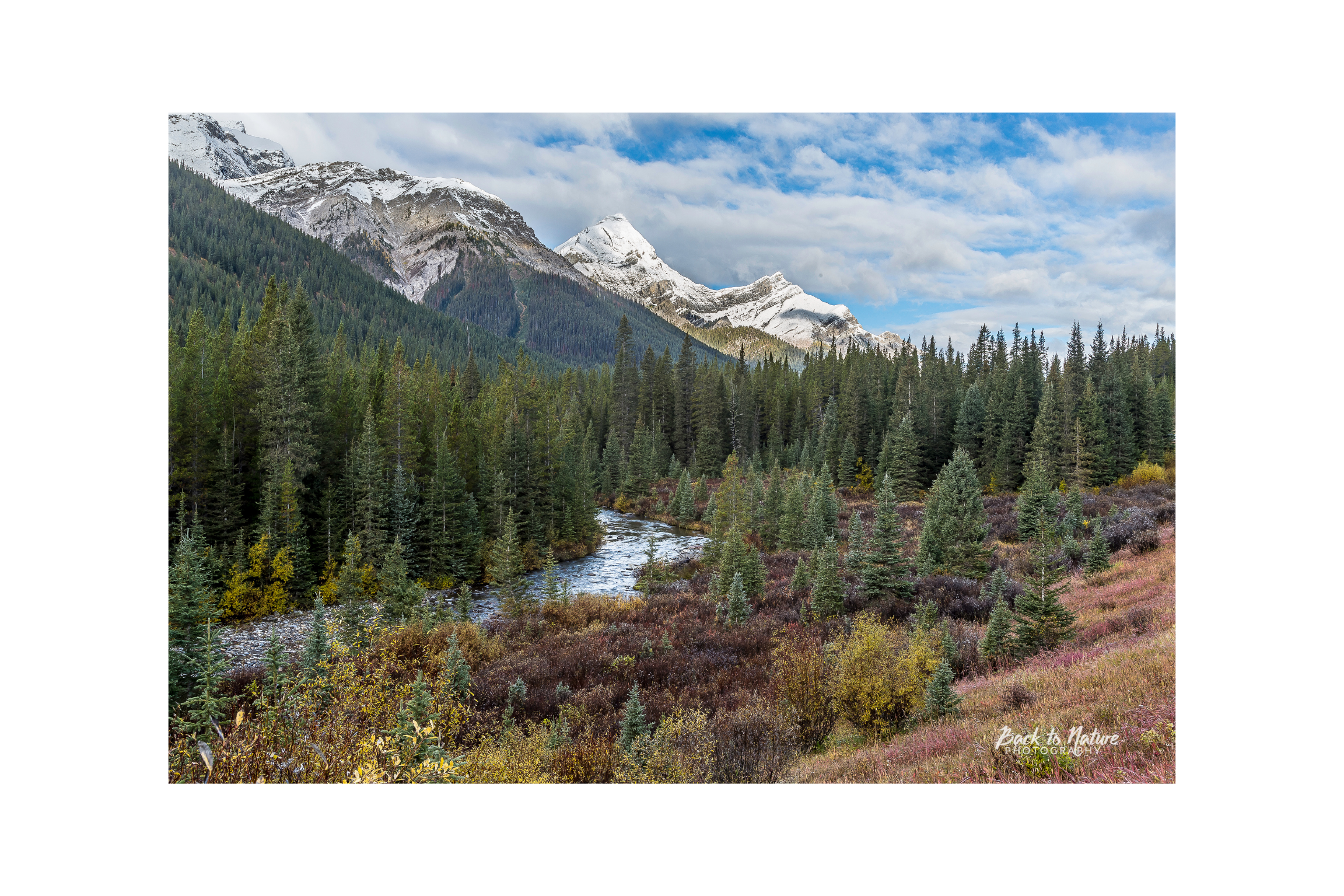 "Winding Creek" Mountain Scene Canvas Print