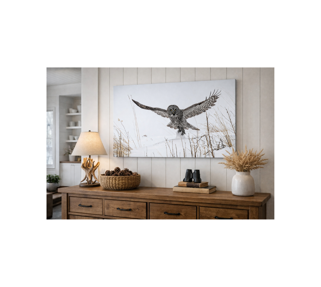 Farm house with brown side broad and a canvas print of a great gray owl on a white wall.