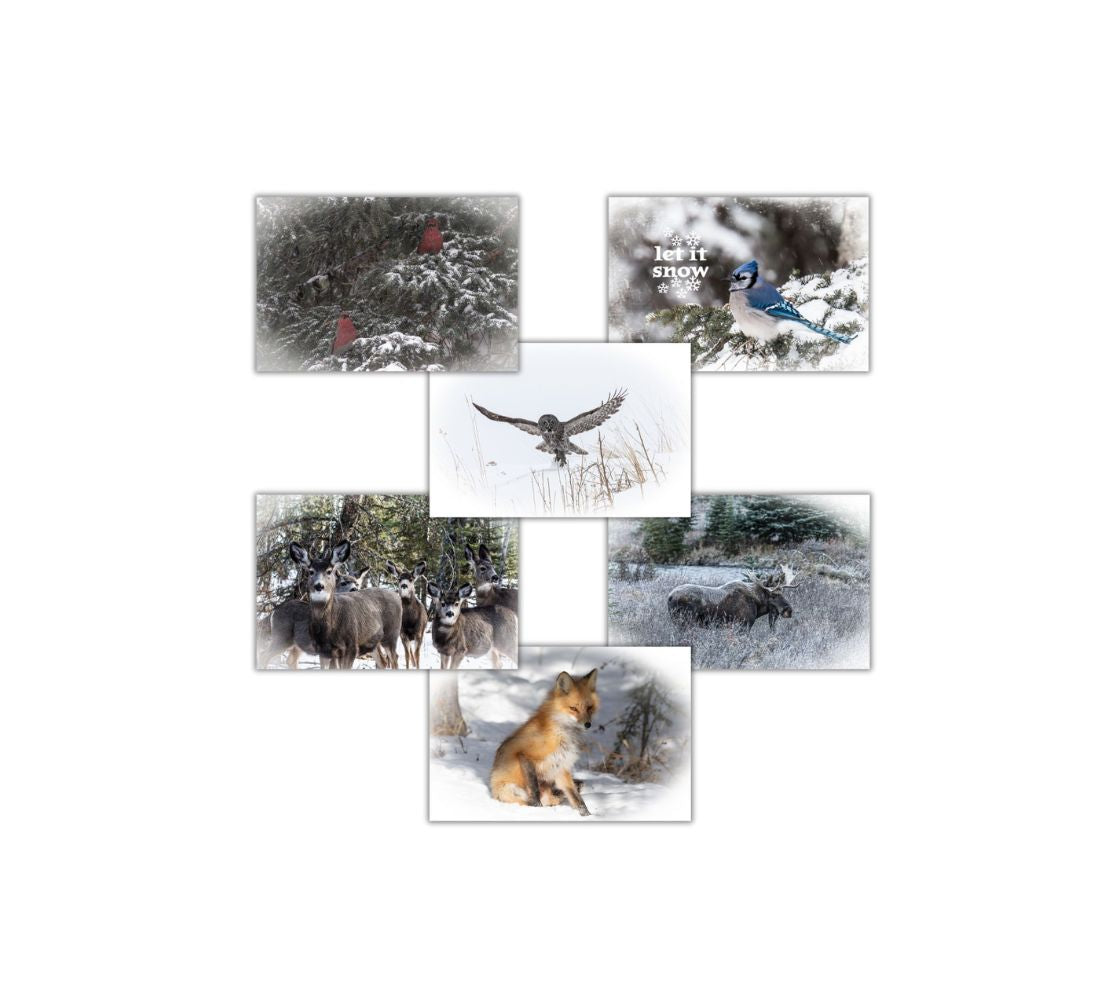 Set of 6 greeting cards with winter wildlife scenes on a white background