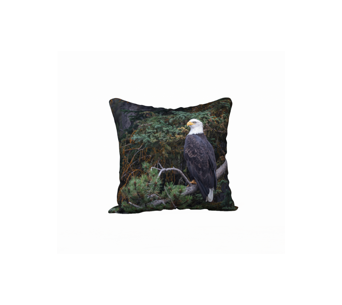 This 18 x 18 inch plush velveteen cushion cover features a photo of a mature bald eagle. The background is of trees and branches in various tones of green, gold, purple and grey. The bald eagle is perched on a fallen grey tree trunk with his back to us and its head is turned slightly, as he is looking towards you.