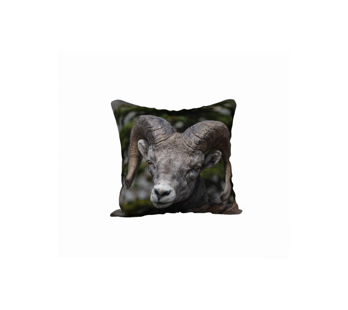 This 18 x 18 inch plush velveteen cushion cover features a photo of a grey and brown bighorn ram portrait. The cushion cover background is mottled in the green and grey colors of the rocks and trees.