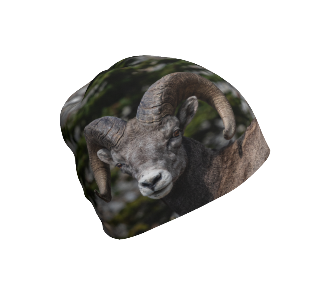 This is a photograph of a bighorn sheep head on a beanie. The background is mottled green shrubs and grey rocks with a greyish brown colored ram's head looking at you.