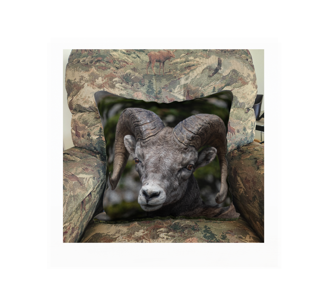 This 18 x 18 inch plush velveteen cushion cover features a photo of a grey and brown bighorn ram portrait. The cushion cover background is mottled in the green and grey colors of the rocks and trees. This image is of a cushion cover on a pillow form in a chair.