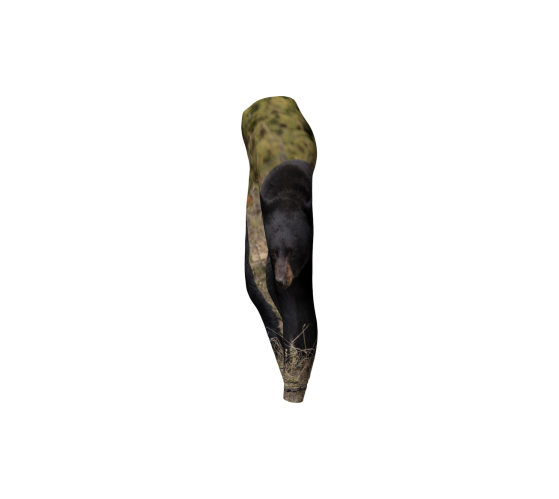 This is a side profile of a pair of classic leggings featuring a photo of a black bear on each leg, with a 1.5 inch wide elastic waistband. The mottled background is tall brown amd green grass. The large black bear is walking towards you.