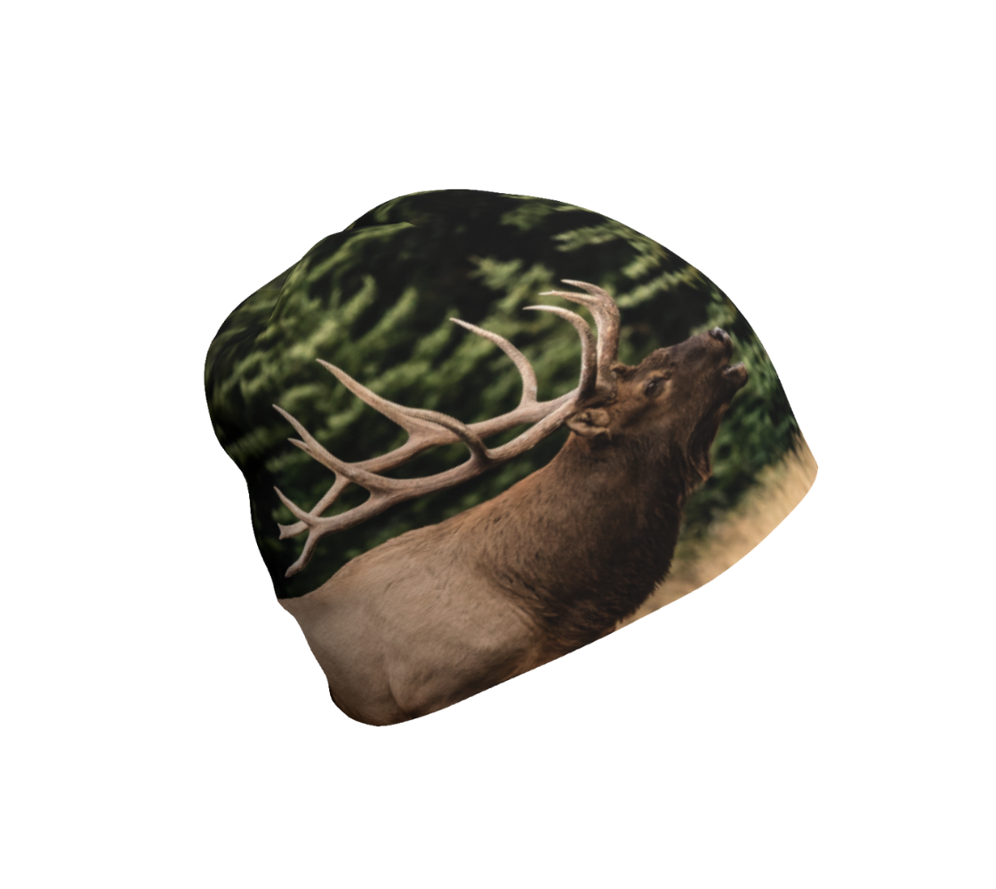 This is a photograph of a bull elk bugling on a beanie. The background is blurred evergreen trees with yellow dead grass. The dark brown and tan colored elk with its large antlers is raising its head as it bugles out its mating call.