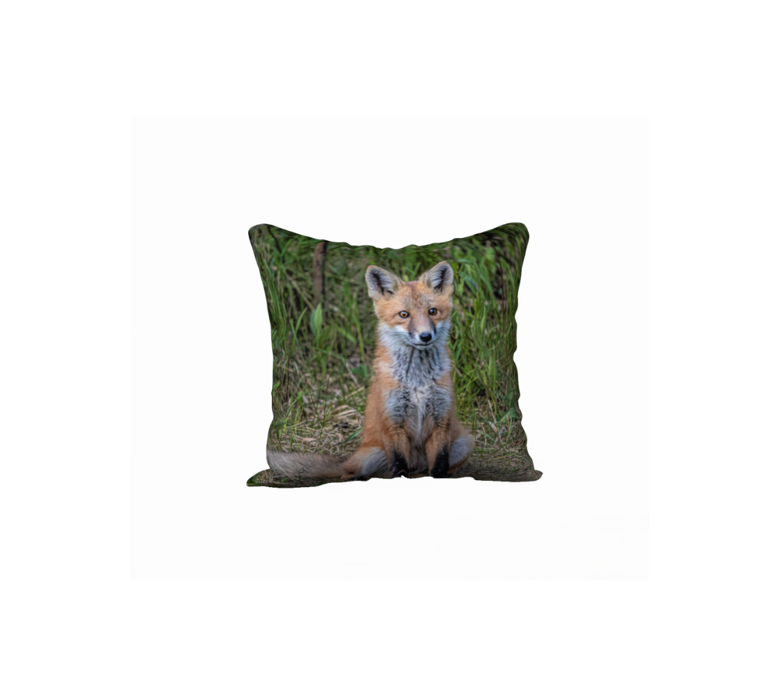 "Curiosity" Red Fox Kit Cushion Cover