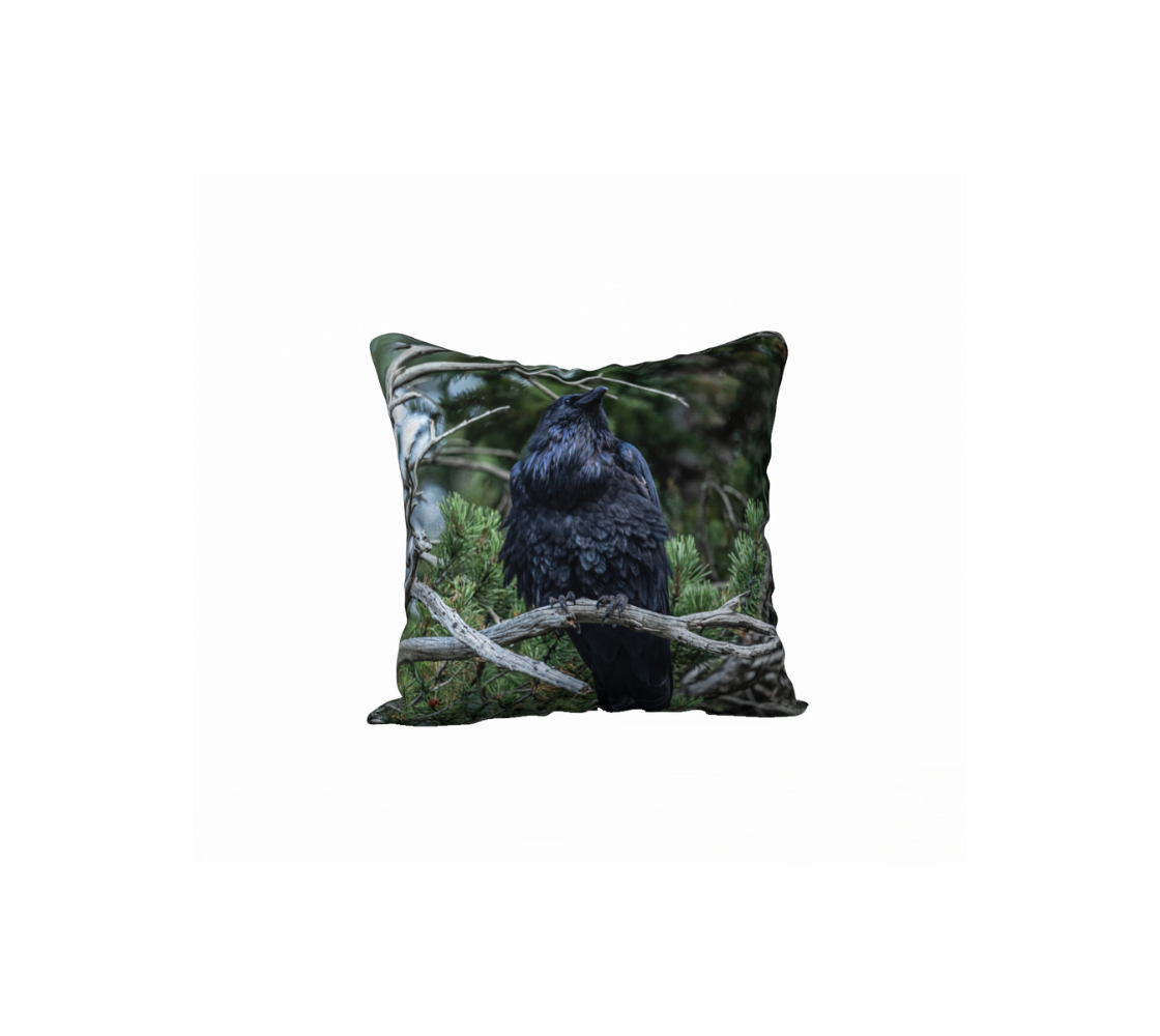 A Canadian-made soft plush velveteen cushion cover featuring a real North American wildlife image of a raven. Solid black velveteen on the reverse side with a durable hidden zipper. Measures 18” x 18”.
