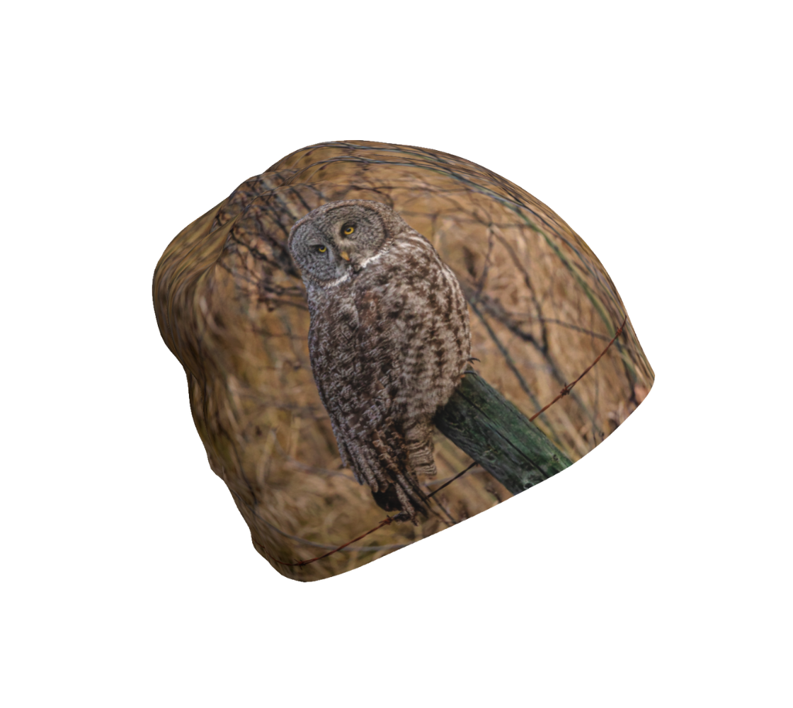 This is a photograph of a great grey owl on a beanie. The background is blurred brown twigs and tall yellow dead grasses. The brown and tanned colored owl is sitting on an old grey fence post looking at you.