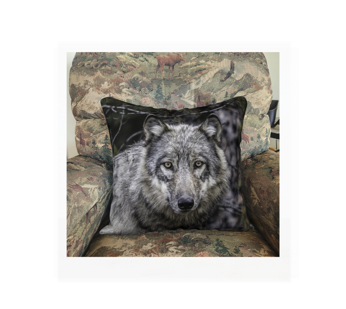This 18 x 18 inch plush velveteen cushion cover features is photo of a grey wolf's head in white, black, and grey tones, with beautiful yellow eyes looking directly at you. The cushion cover background is green and grey tones of the forest behind her.  This image is of a cushion cover on a pillow form in a chair.