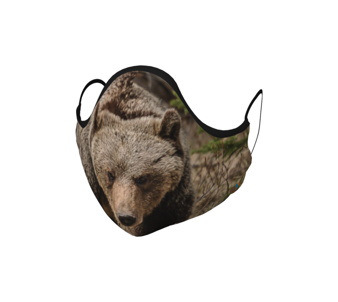 This is a face mask with black ties that is a photo of a large brown grizzly bear.