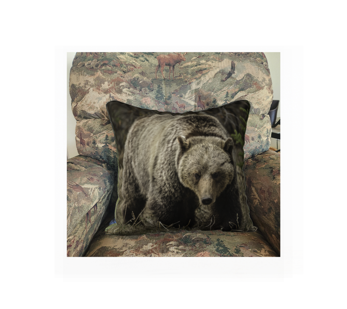 This 18 x 18 inch plush velveteen cushion cover features a photo of a dark brown grizzly bear standing in the brown grass looking at you. The background is green and brown tones of the forest behind him. This image is of the cushion cover on a pillow form in a chair.