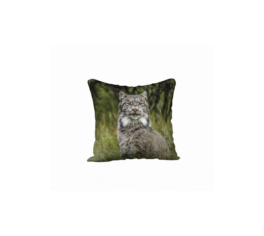 This 18 x 18 inch plush velveteen cushion cover features a photo of a grey, white and black Canadian lynx sitting in the grass. The background is tall green grass and black shrubs.