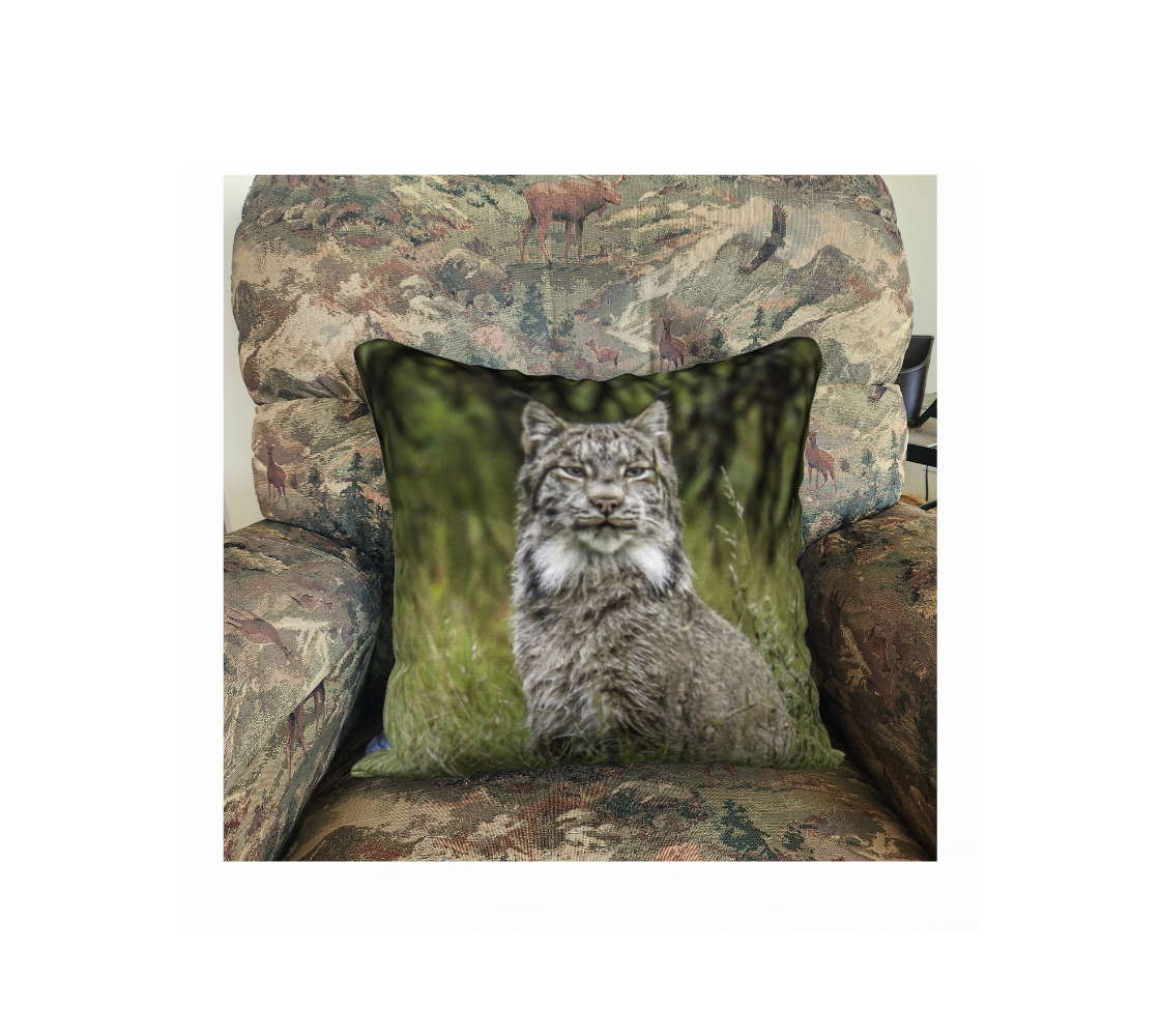 This 18 x 18 inch plush velveteen cushion cover features a photo of a grey, white and black Canadian lynx sitting in the grass. The background is tall green grass and black shrubs. This image is of the cushion cover on a pillow form in a chair.