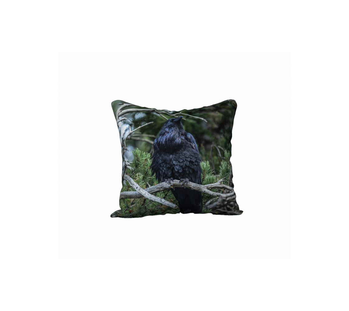 This 18 x 18 inch plush velveteen cushion cover features a photo of a multi-dark blue toned raven perched high on a branch looking downward. The background is green pine branches with blue sky coming through the trees.