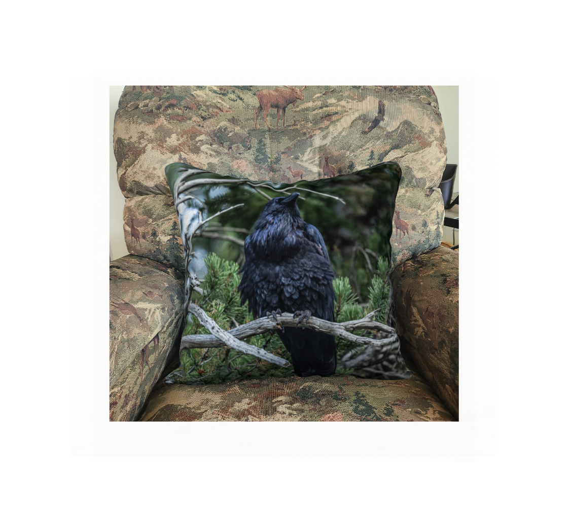 This 18 x 18 inch plush velveteen cushion cover features a photo of a multi-dark blue toned raven perched high on a branch looking downward. The background is green pine branches with blue sky coming through the trees. This image is of the cushion cover on a pillow form in a chair.