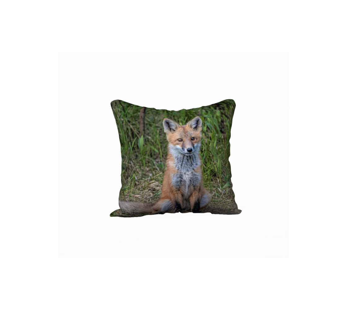 This 18 x 18 inch plush velveteen cushion cover features a photo of an orange and white red fox kit sitting on the grass. The cushion cover background is long green grass.