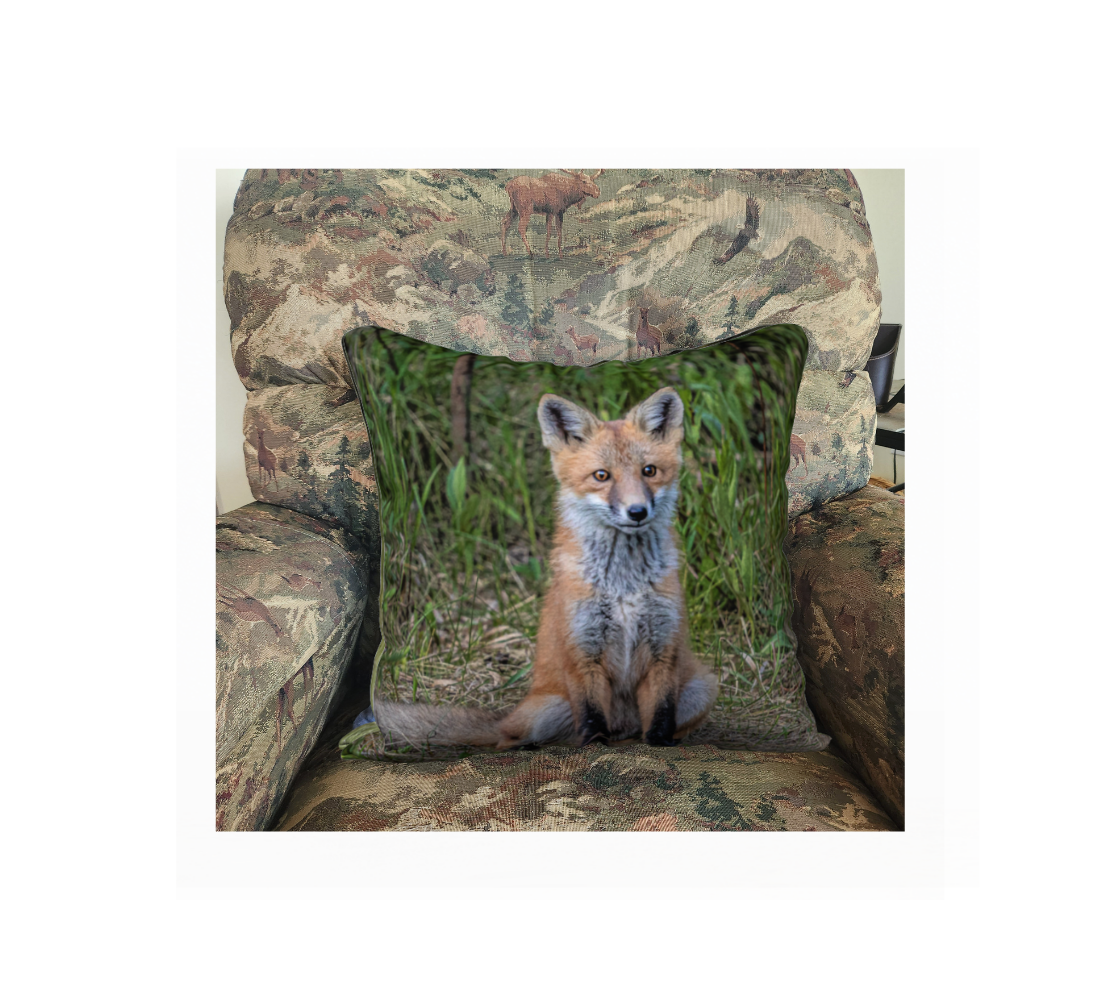 This 18 x 18 inch plush velveteen cushion cover features a photo of an orange and white red fox kit sitting on the grass. The cushion cover background is long green grass. This image is of a cushion cover on a pillow form in a chair.