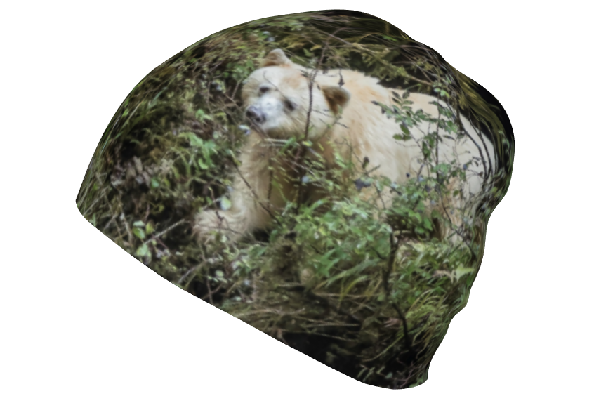 This is a photo of a spirit bear on the left side of a beanie. The background is green bushes and brown branches of the Great Bear Rainforest. The white spirit bear is stepping down out of the forest and is making her way to the stream below.