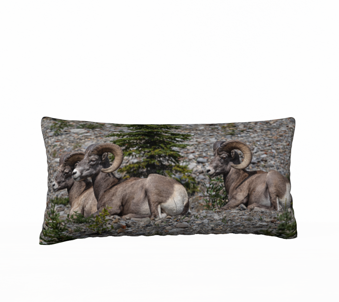 A Canadian-made soft plush velveteen cushion cover featuring real North American wildlife images of rocky mountain big horn sheep. Solid black velveteen on the reverse side with a durable hidden zipper. Measures 12” x 24”.