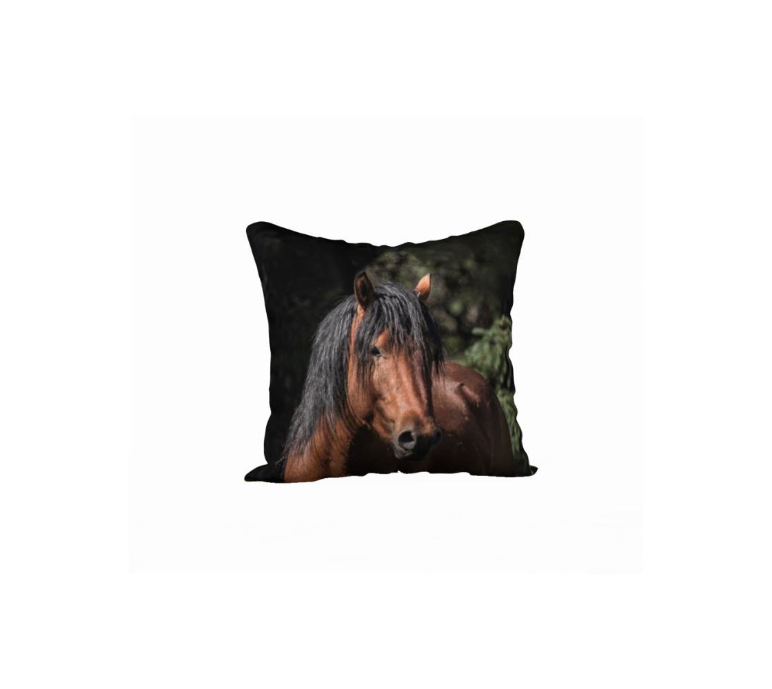 This 18 x 18 inch plush velveteen cushion cover features a photo of a wild stallion horse head portrait with a chestnut brown head and black mane. The cushion cover background is black and green evergreen trees.