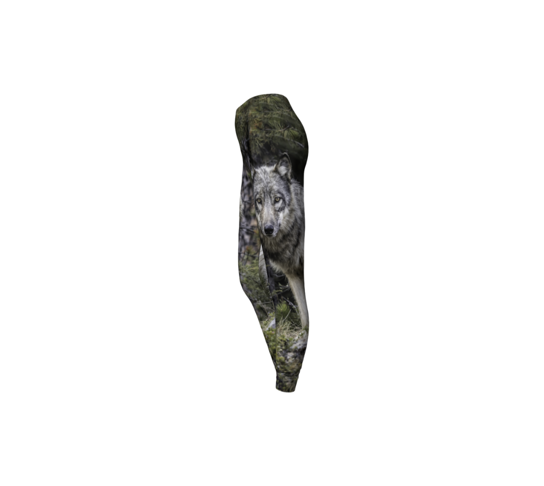 This is a side profile of a pair of classic leggings featuring a photo of a wolf on each leg, with a 1.5 inch wide elastic waistband. The background is of evergreen trees and grey bushes, while the wolf's coat is full and fluffy in various tones of grey, white and black with beautiufl yellow eyes looking directly at you.