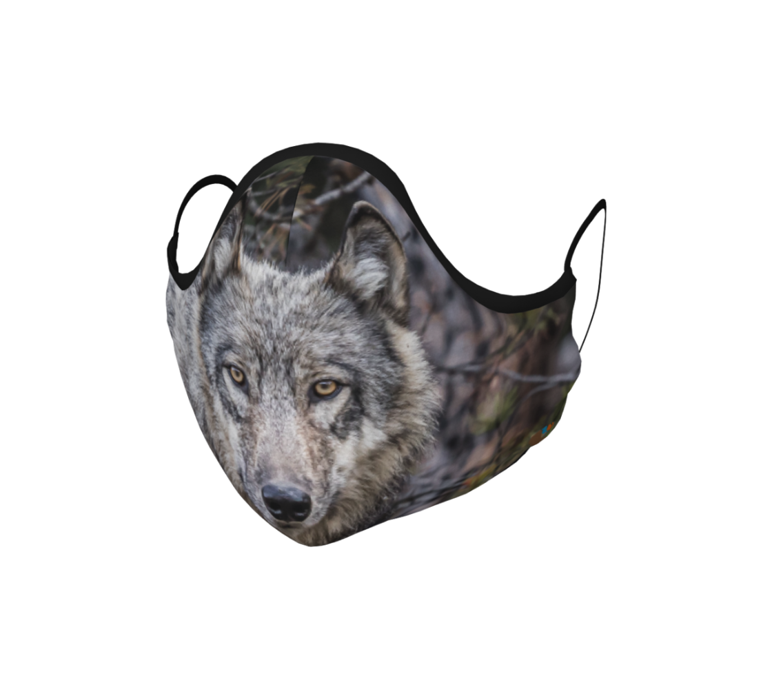 This is a face mask with black ties that is a photo of a beautiful grey wolf. The background is of evergreen trees and grey bushes, while the wolf has a full and fluffy coat in various tones of grey and white and black with beautiful yellow eyes looking directly at you.