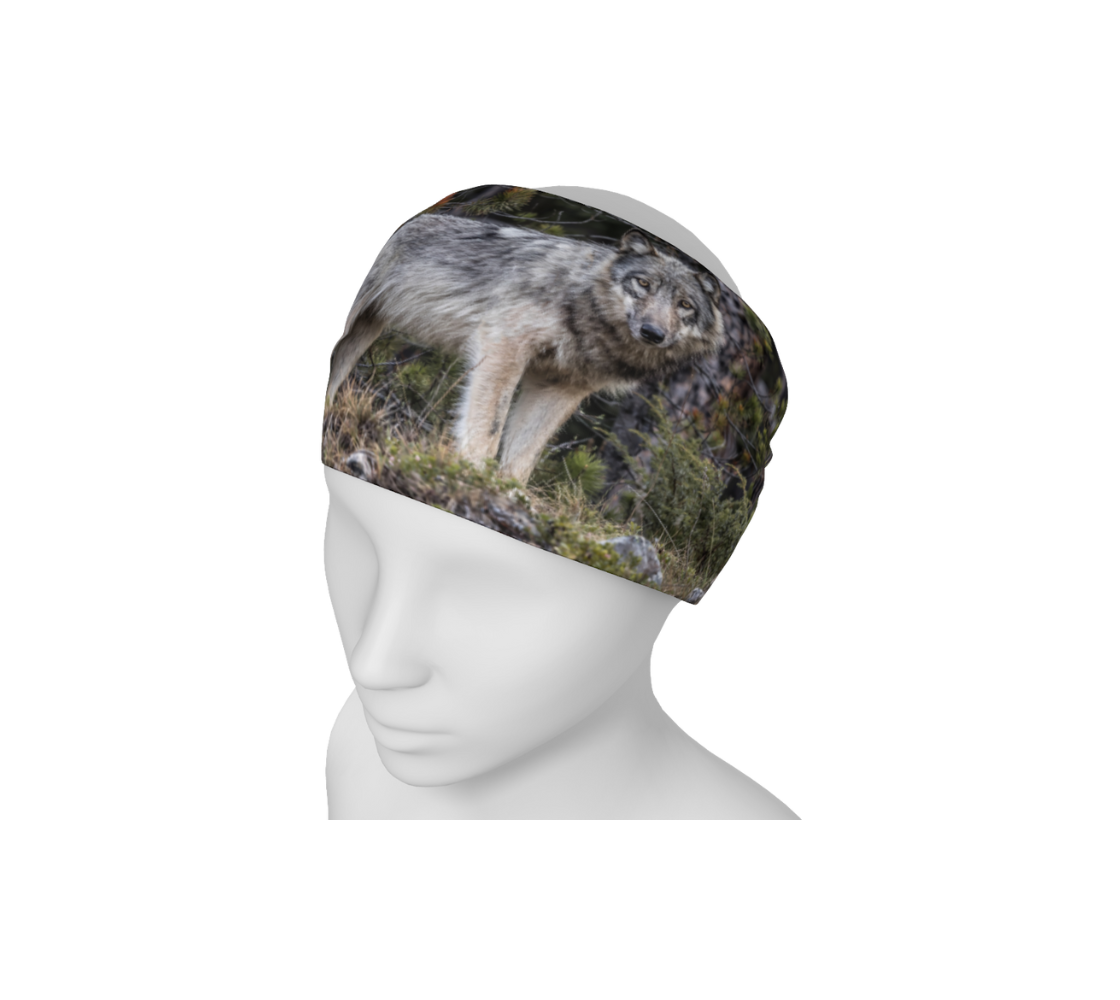 This is an image of a photo of a grey wolf on a head and neck buff on a mannequin worn as a headband. The background is of evergreen trees and grey bushes, while the wolf head is full and fluffy in various tones of grey and white with beautiufl yellow eyes looking directly at you.