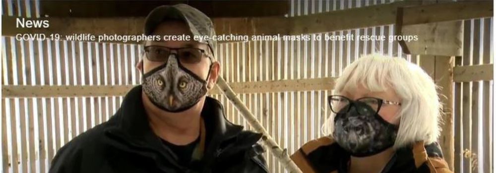 Global Calgary News & The Calgary Wildlife Rehabilitation Society